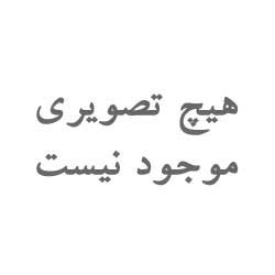اسپری محرک رشد و ضدریزش مو لانبنا